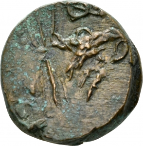 Pontos: Zeus-Adler-Typ