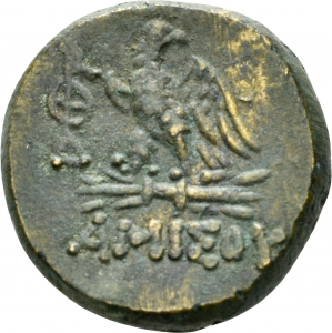 Pontos: Zeus-Adler-Typ