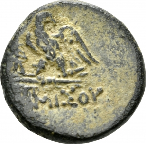 Pontos: Zeus-Adler-Typ